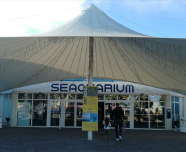 Le Seaquarium